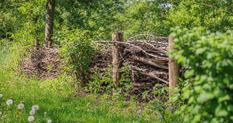 Benjeshecke anlegen: Totholzhecke als Lebensraum und Sichtschutz