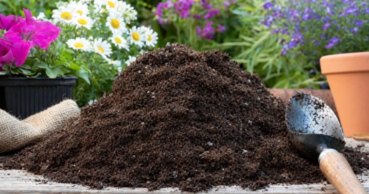 Blumenerde kaufen und richtig anwenden: Was steckt in der Pflanzerde?