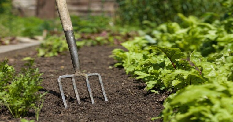 Bodenbearbeitung und Bodenpflege: Tipps und Tricks für gesunden Gartenboden