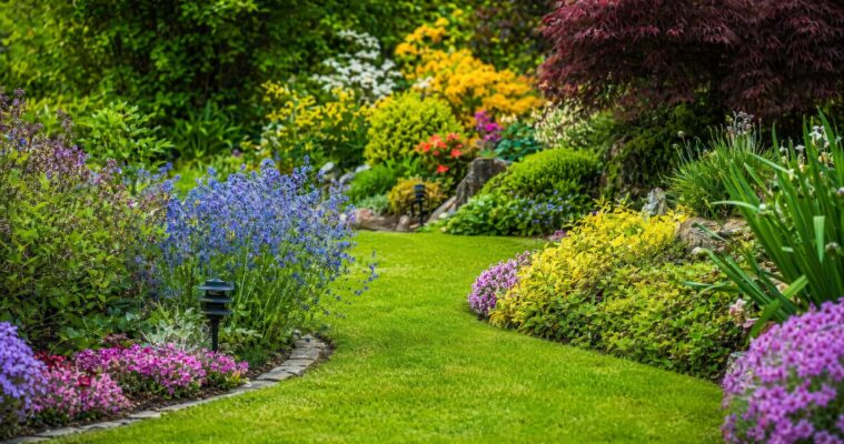 Gartenplanung: Anleitungen, Tipps und Tricks fuer Ihren Traumgarten