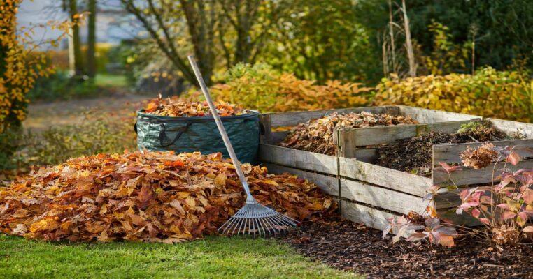 Herbstlaub richtig nutzen: Kompostieren, Mulchen & umweltgerecht entsorgen