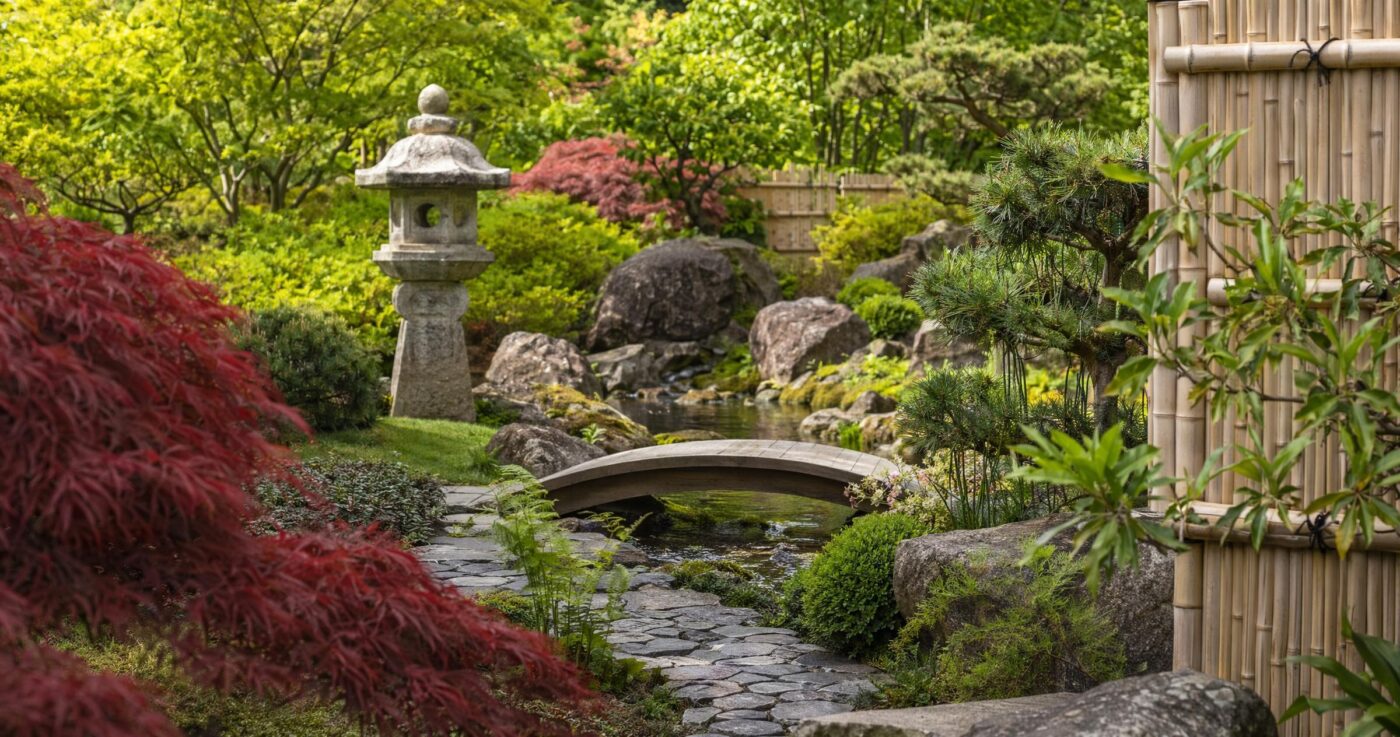 Japanischen Garten planen und anlegen: Der ultimative Ratgeber