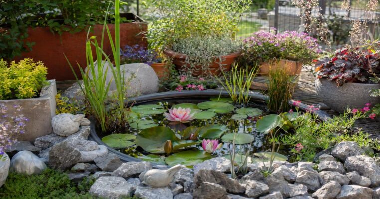 Mini-Teich anlegen: Planung, Bepflanzung und Tipps für Balkon & Garten