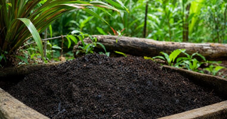 Terra Preta: Die Wundererde vom Amazonas