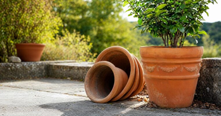 Terracotta: Kauftipps, Pflege und Winterschutz