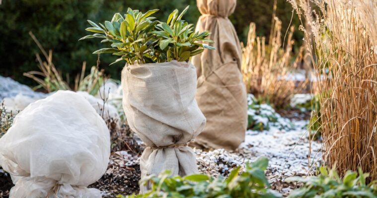 Winterschutz im Garten: Was wann womit schützen