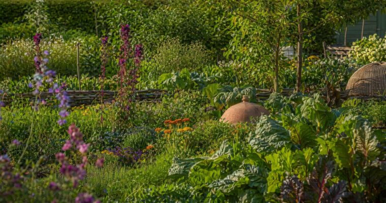 Permakultur im Garten: So gestalten Sie ein nachhaltiges Paradies