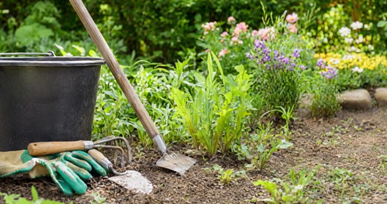 Unkrautbekämpfung im Garten: Hilfsmittel, Methoden und nachhaltige Tipps